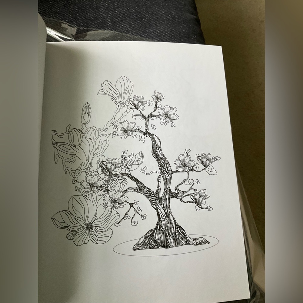 Adult Coloring Books - Picture 13 of 13